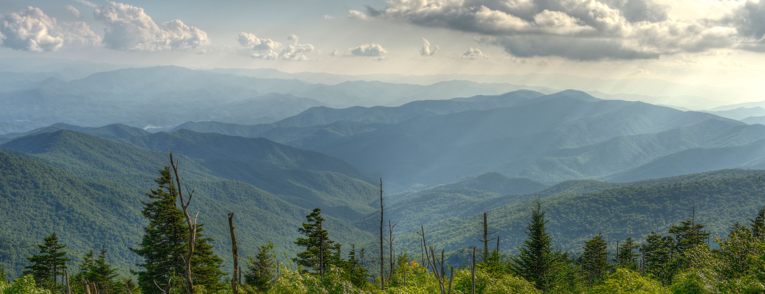 Advanced Classic White